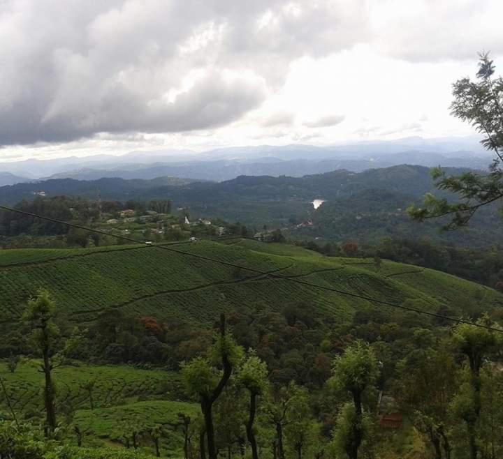 Munnar Lush Greens Exterior photo